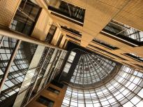 Âç¿ÌºÒ¤ÎÉÔÆ°»º»Ô¾ì¤Ø¤Î±Æ¶Á