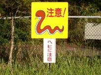���ʤ��ޥ󥷥������Ω��Υ����ɥ饤�����